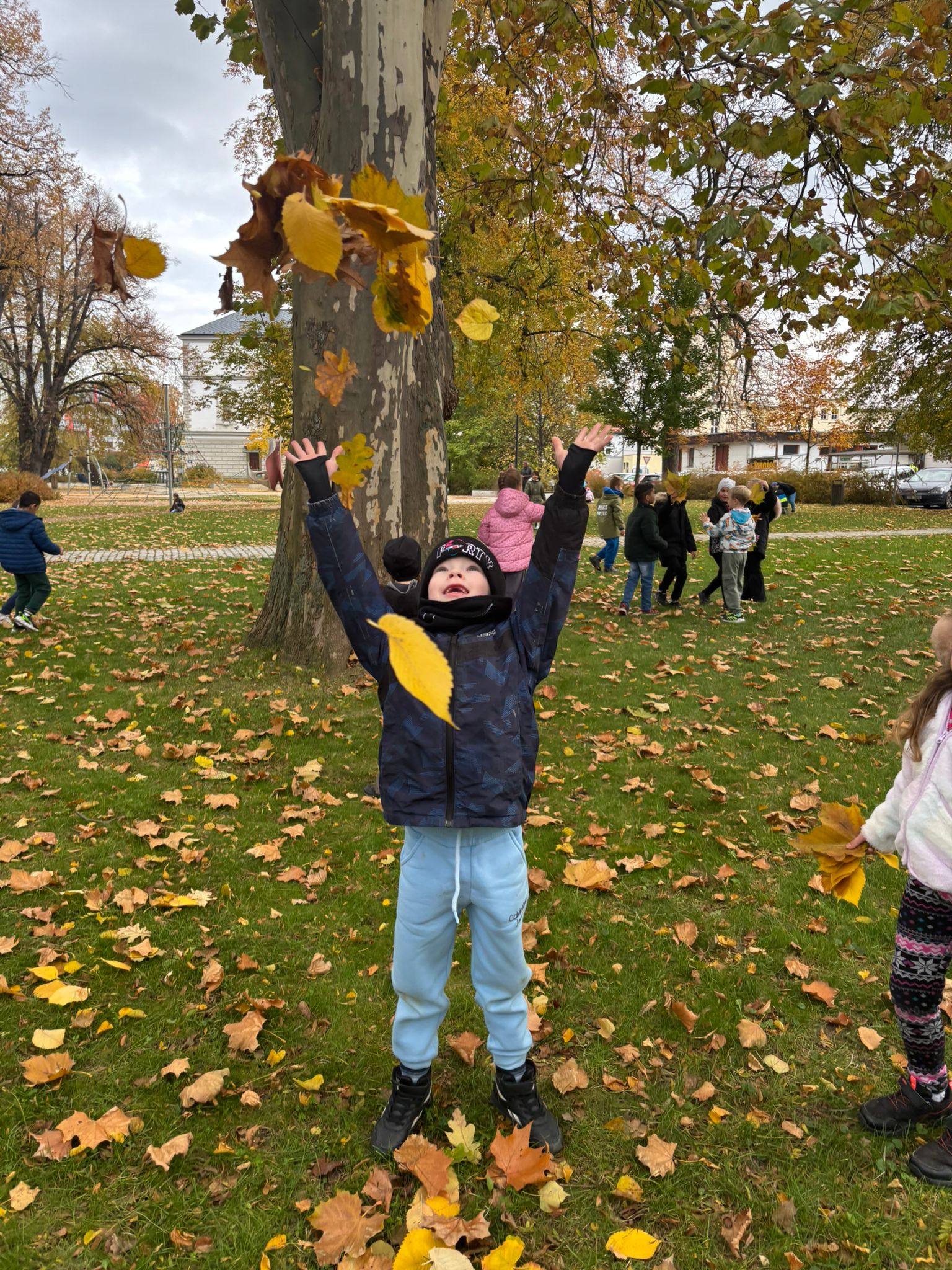 371e98e3-8bf8-47db-b62f-889168238398