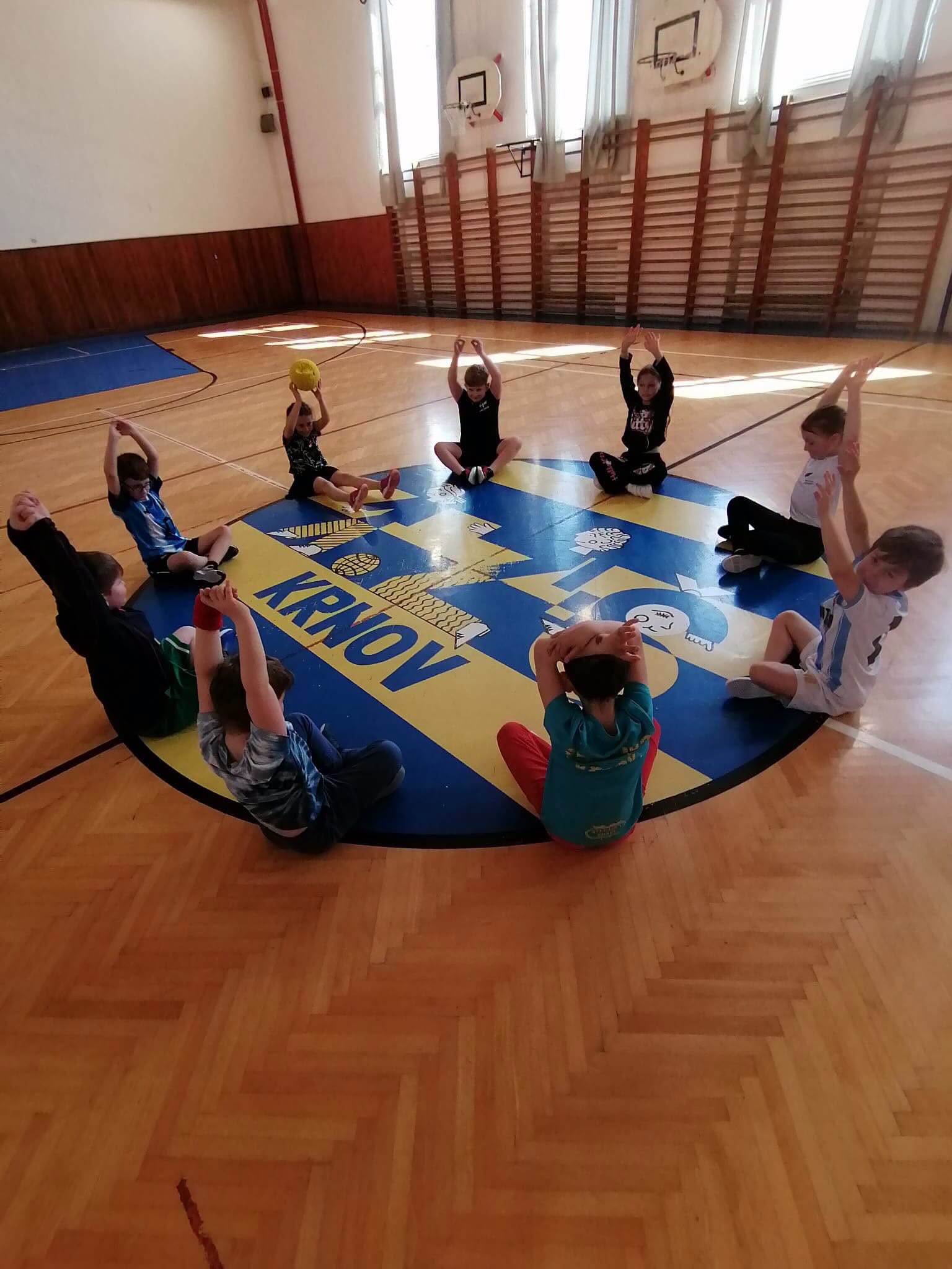 Pohybovky