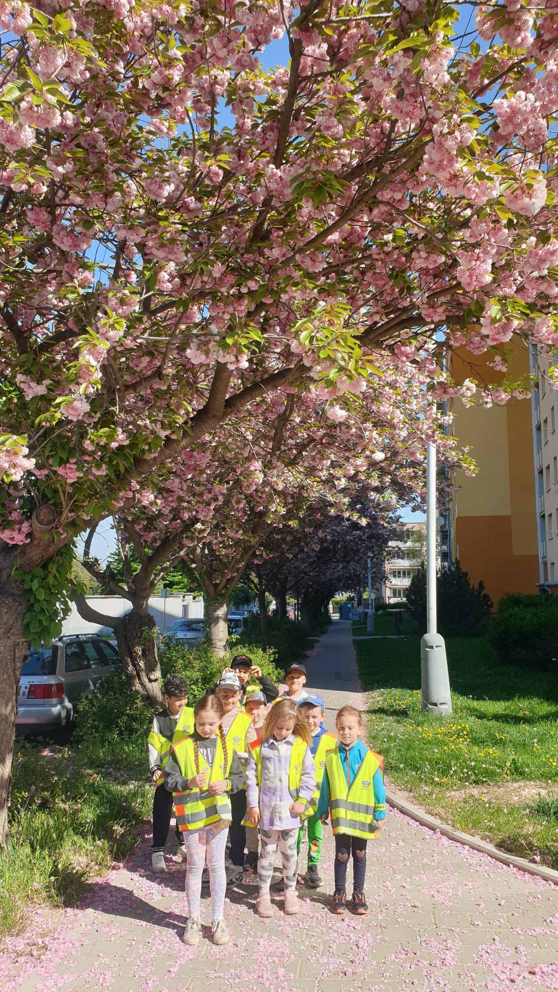 495999515_1205669581571601_551856633387854628_n